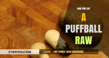 Exploring the Edibility of Puffballs: Raw or Cooked?