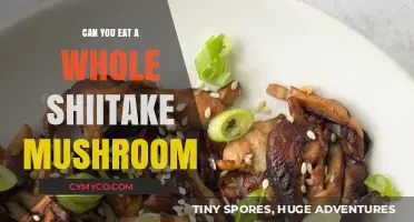 Exploring the Edibility of Shiitake Mushrooms: A Comprehensive Guide