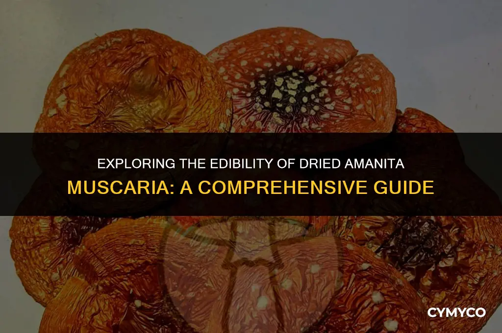 can you eat amanita muscaria dried