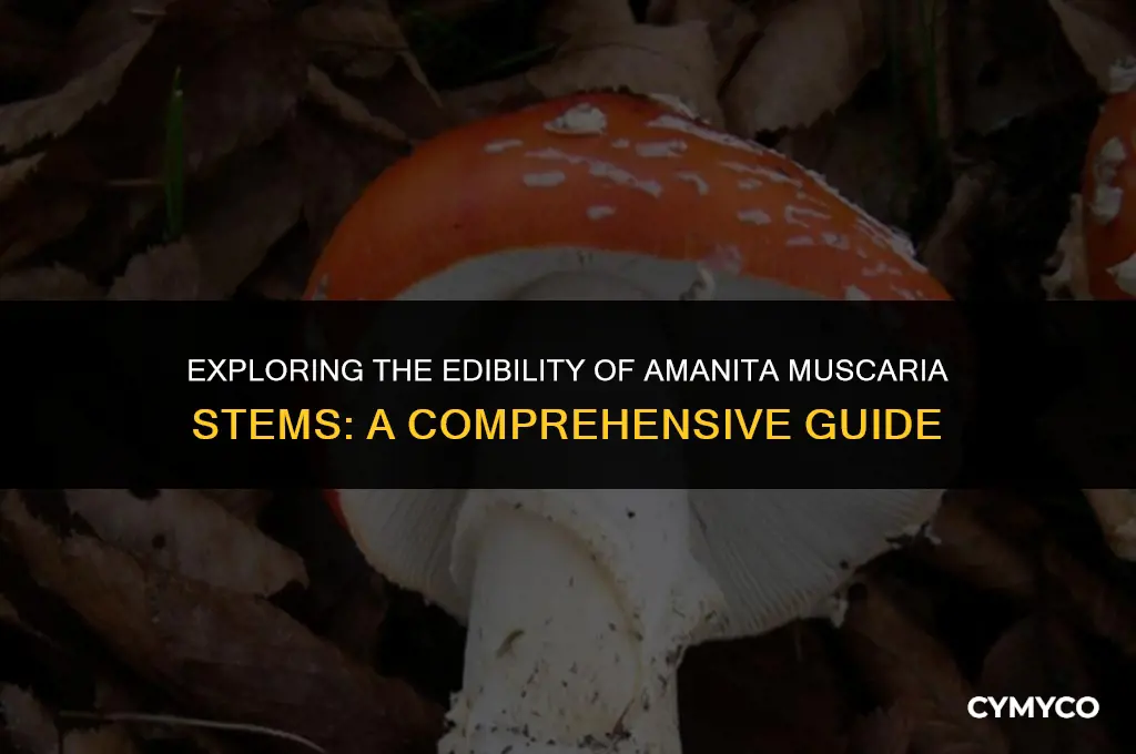 can you eat amanita muscaria stems