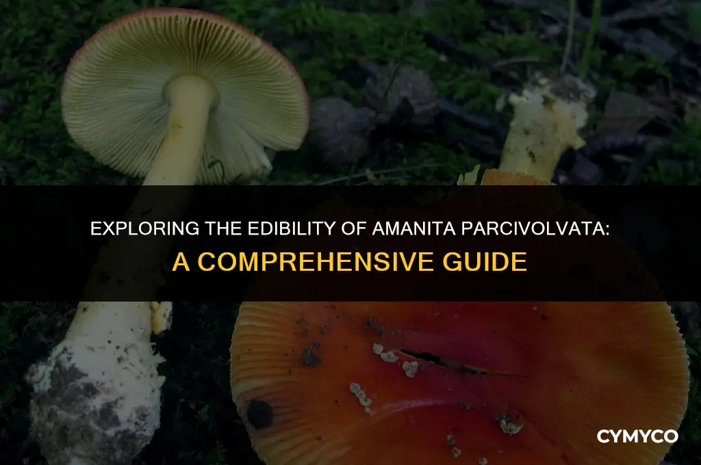 can you eat amanita parcivolvata