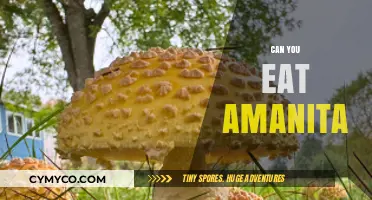 Exploring the Edibility of Amanita Mushrooms: A Comprehensive Guide