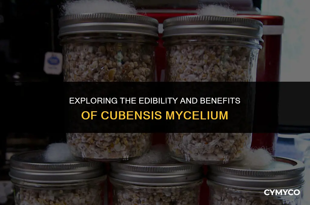 can you eat cubensis mycelium