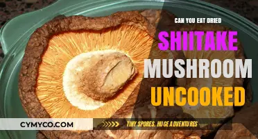 Exploring the Edibility of Dried Shiitake Mushrooms in Their Raw Form
