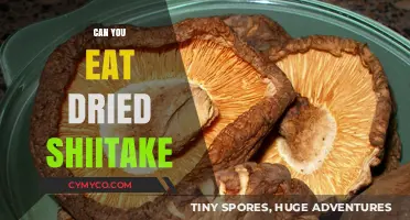 Savoring Umami: The Delicious World of Dried Shiitake Mushrooms