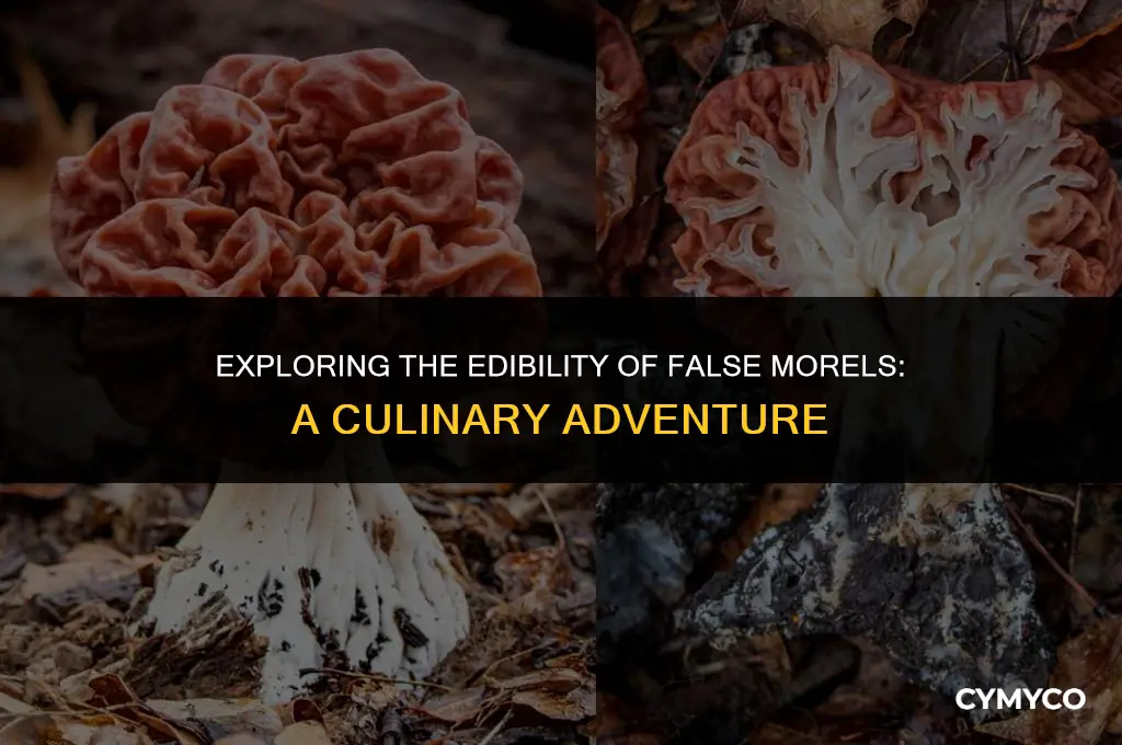 can you eat false morels