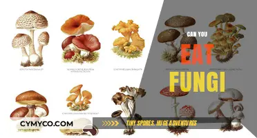 Exploring the Edibility of Fungi: A Guide to Safe Consumption