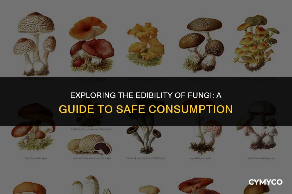 can you eat fungi