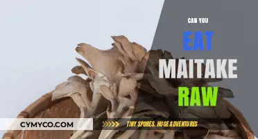 Can You Eat Maitake Raw? Exploring the Benefits and Risks