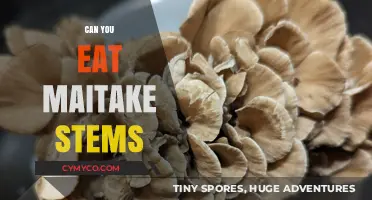 Can You Eat Maitake Stems? A Guide to Edible Parts