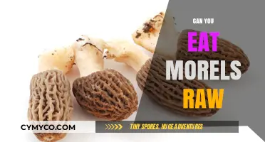 Exploring the Edibility of Morels: Raw or Cooked?