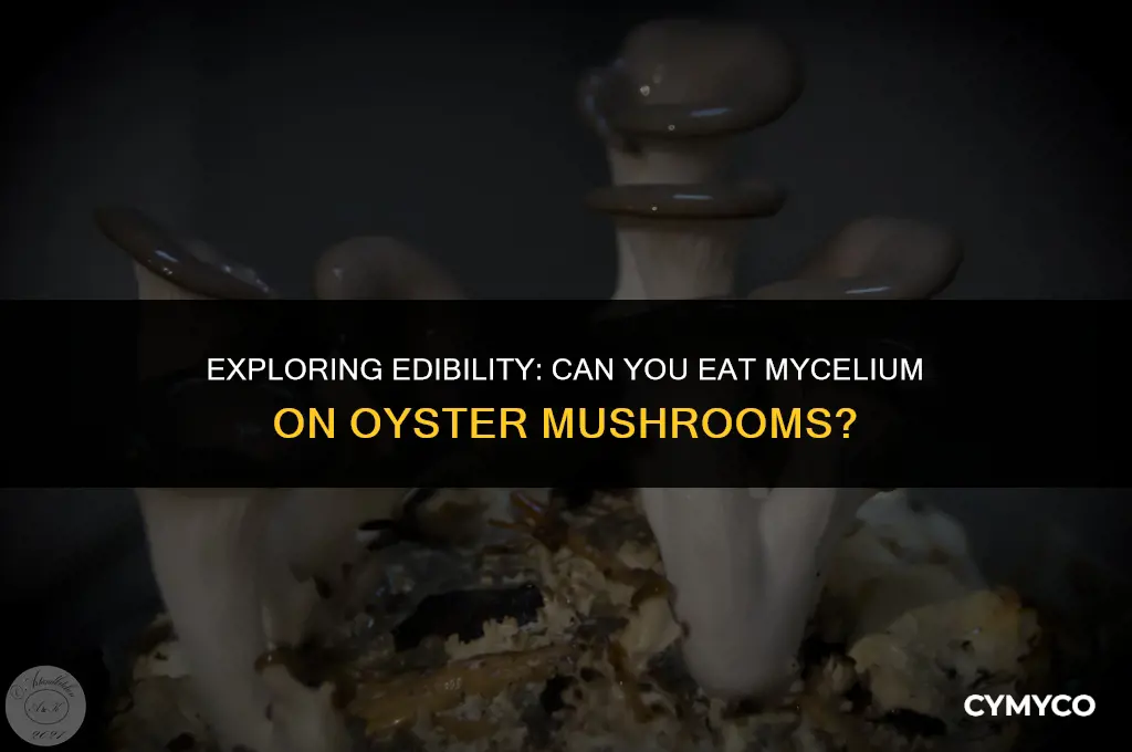 can you eat mycelium on oyster mushrooms