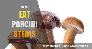 Porcini Stems: Edible or Not? A Mushroom Lover's Guide