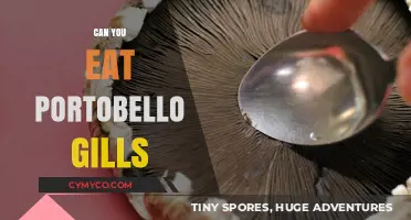 Exploring Edibility: Are Portobello Gills Safe to Eat?