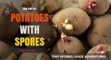 Spud Safety: A Guide to Eating Potatoes with Spores