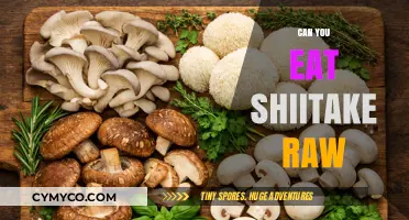Can You Eat Shiitake Raw? Safety, Benefits, and Best Practices