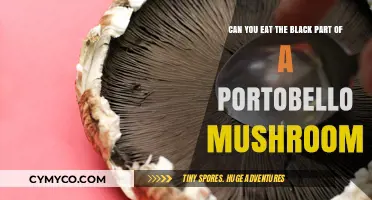 Exploring Edibility: The Truth About Portobello Mushroom Stems