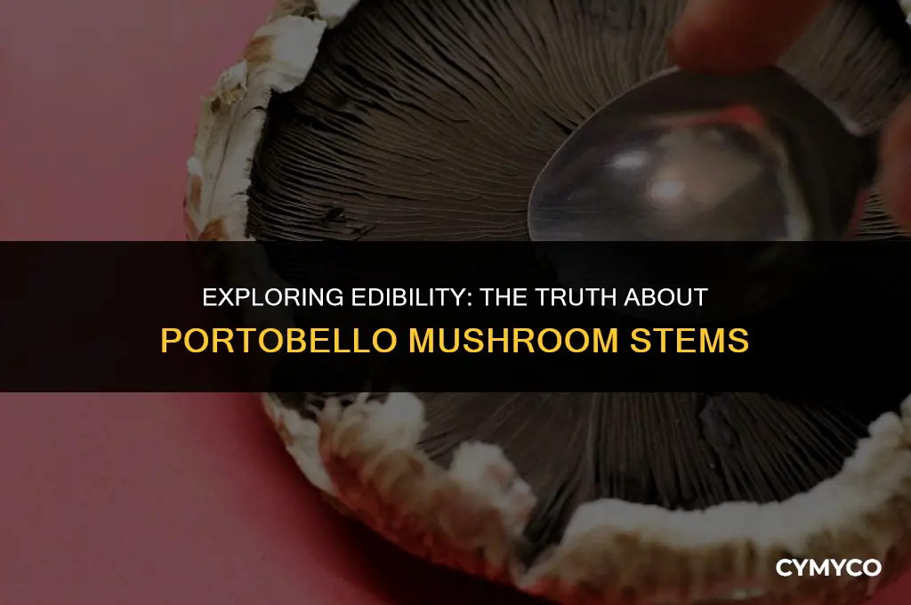 can you eat the black part of a portobello mushroom