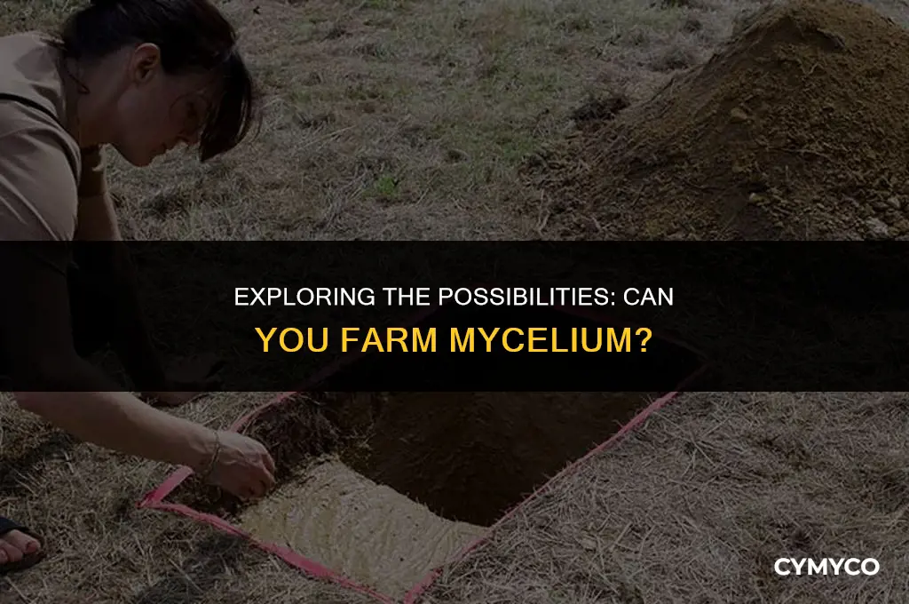 can you farm mycelium