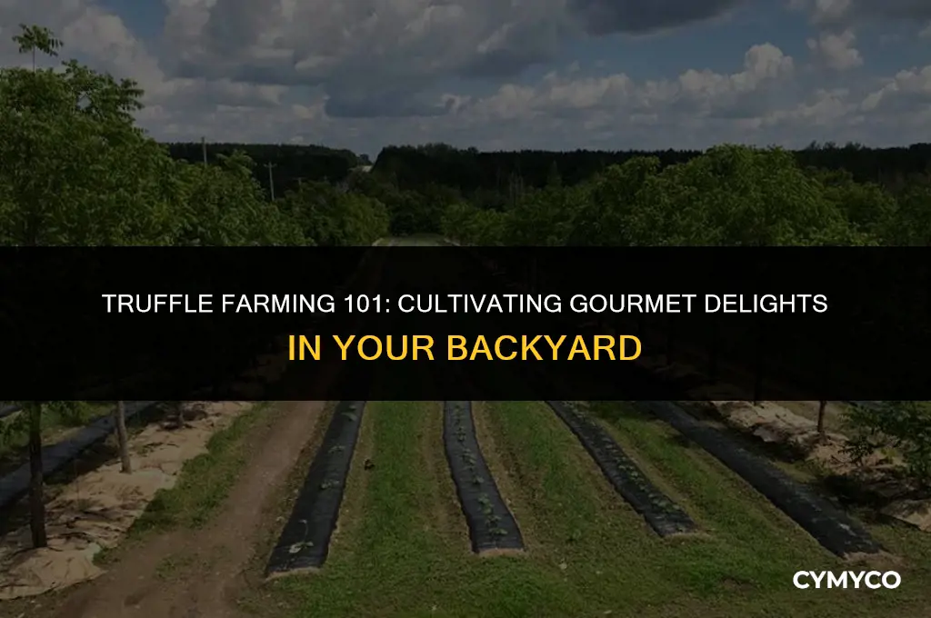 can you farm truffles