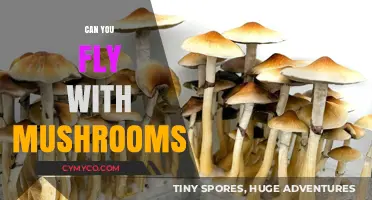 Exploring the Skies: A Guide to Flying with Mushrooms