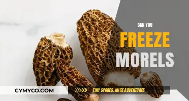 Preserving Nature's Bounty: A Guide to Freezing Morels