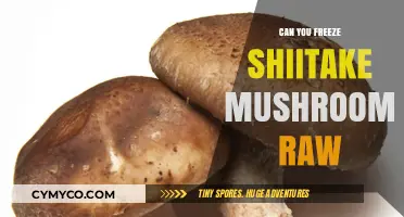 Fresh to Frozen: The Ultimate Guide to Shiitake Mushrooms