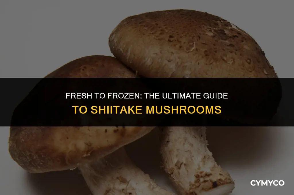 can you freeze shiitake mushrooms raw