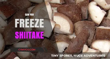 Preserving Umami: The Complete Guide to Freezing Shiitake Mushrooms