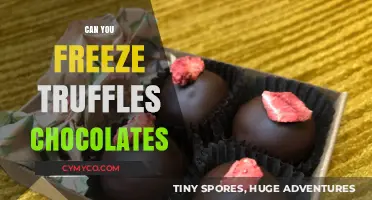 Sweet Preservation: The Art of Freezing Truffles and Chocolates