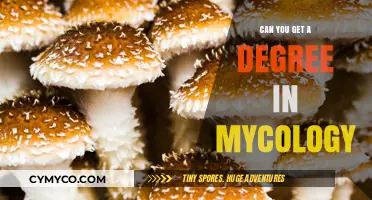 Exploring Mycology Degrees: Academic Paths for Fungal Study Enthusiasts