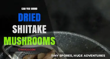 Unlocking Umami: The Art of Grinding Dried Shiitake Mushrooms