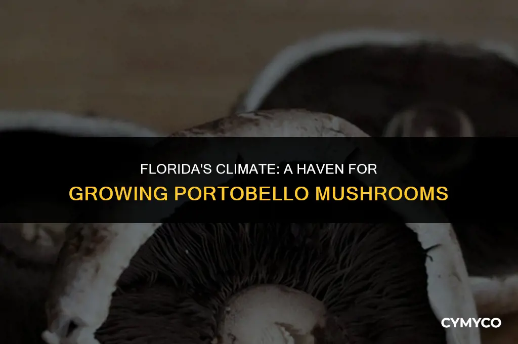 can you grow portobello mushrooms in florida