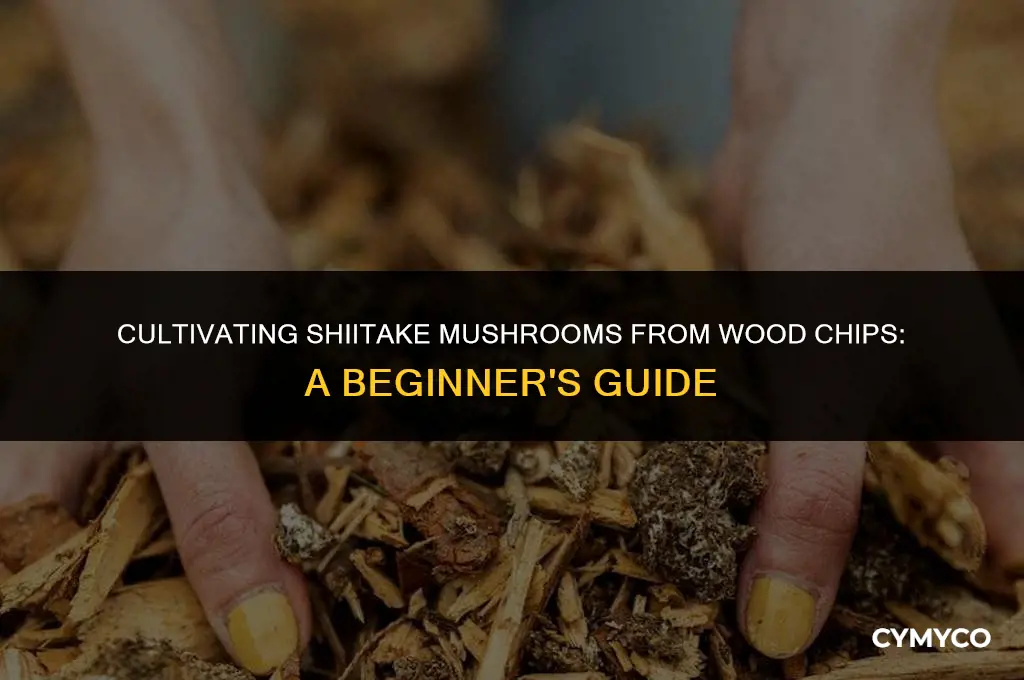 can you grow shiitake from wood chips