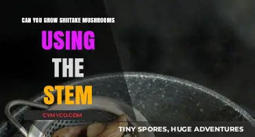 Shiitake Mushroom Cultivation: The Stem Method Explained