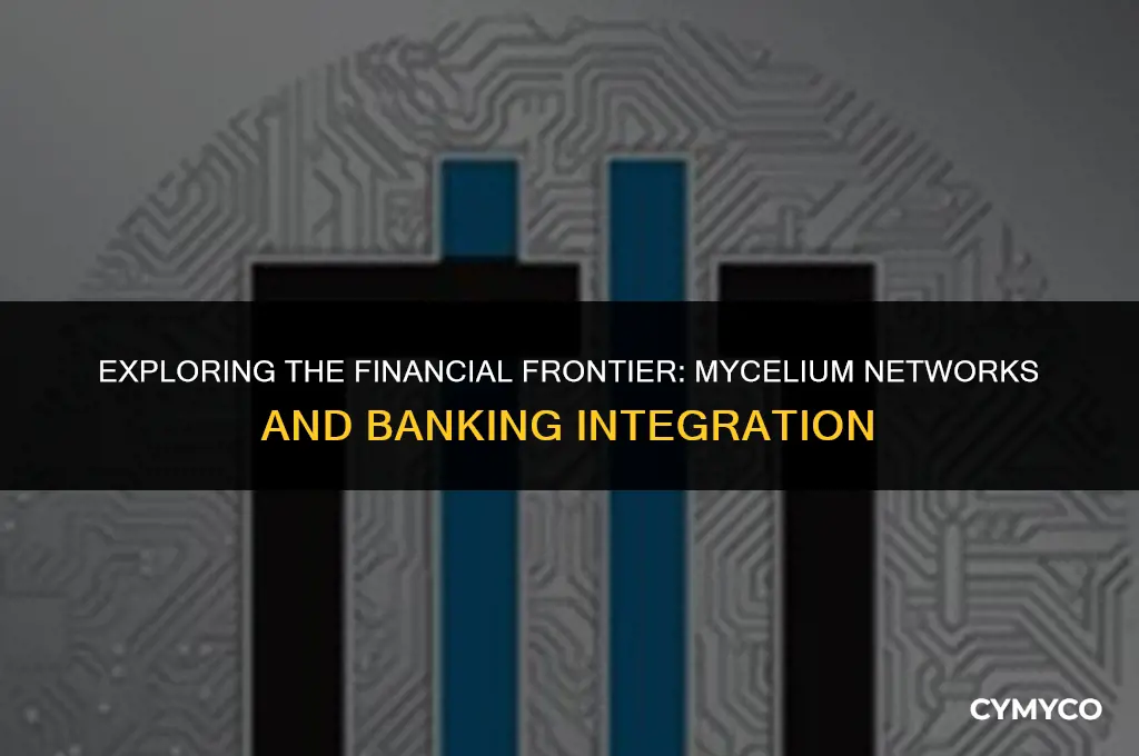 can you link mycelium to your bank account