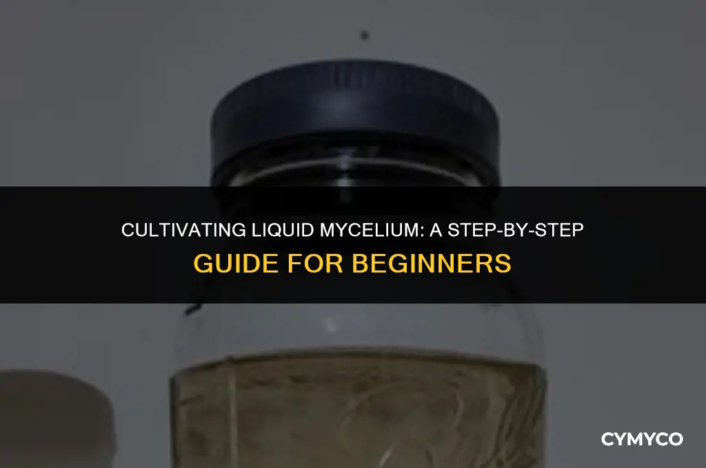 can you make a liquid culture from mycelium
