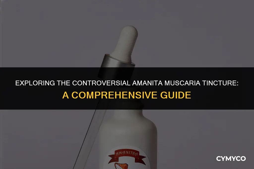 can you make a tincture of amanita muscaria