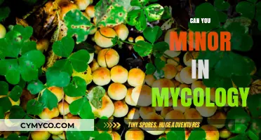 Exploring Mycology: Can You Minor in the Study of Fungi?