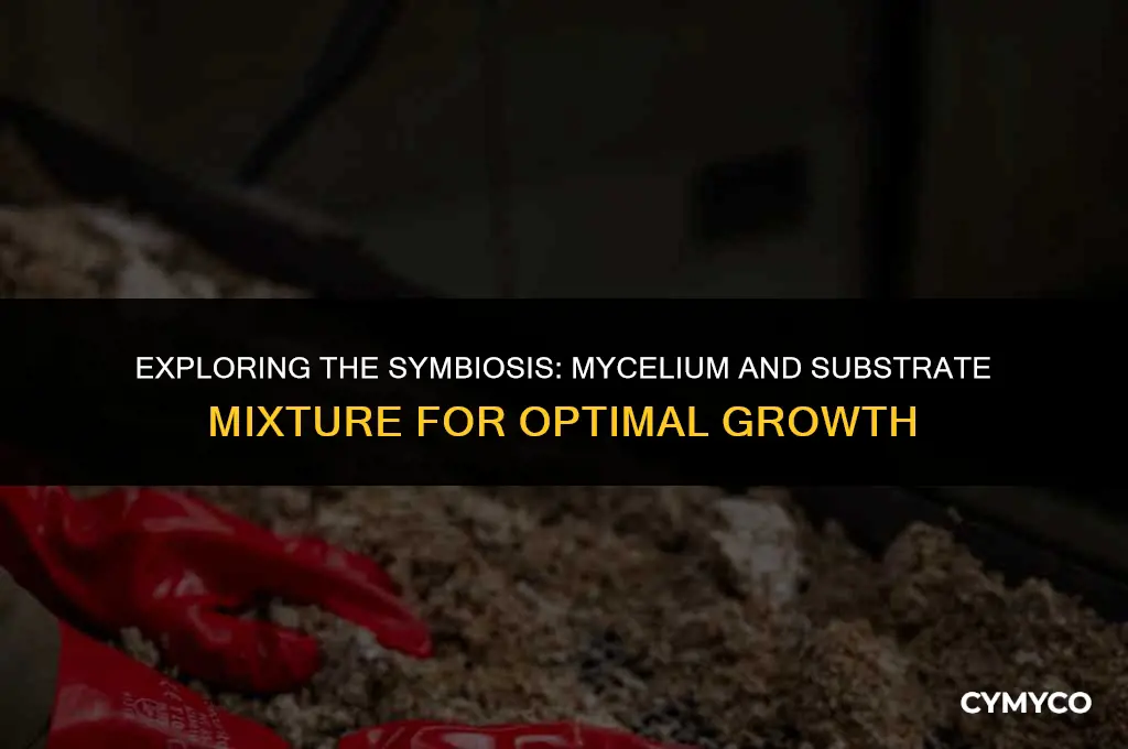 can you mix mycelium with substrate