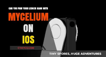 Pairing Ledger Nano with Mycelium on iOS: A Comprehensive Guide