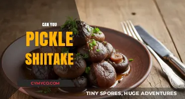Exploring Umami: The Art of Pickling Shiitake Mushrooms