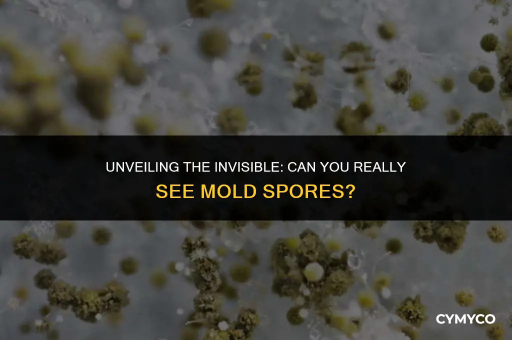 can you see mold spores