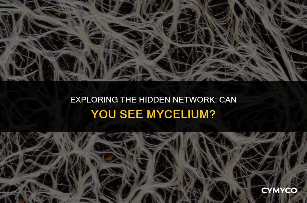 can you see mycelium