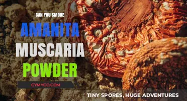 Exploring the Effects and Risks of Amanita Muscaria Powder