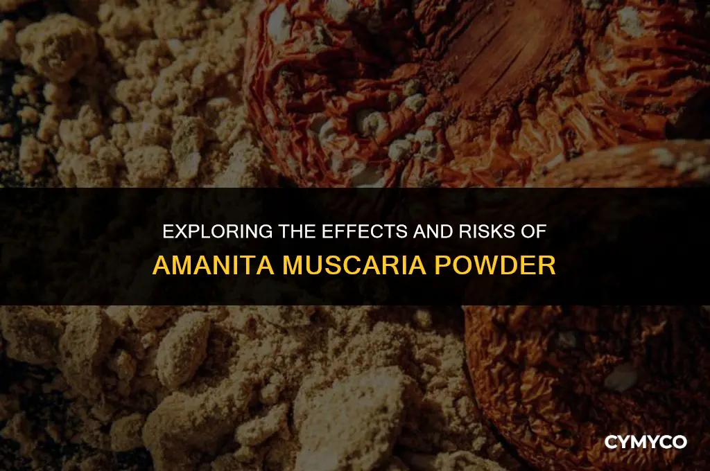 can you smoke amanita muscaria powder