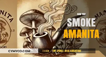 Exploring the Effects and Risks of Smoking Amanita Mushrooms