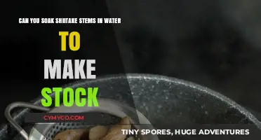 Unlocking Umami: The Art of Shiitake Stem Stock