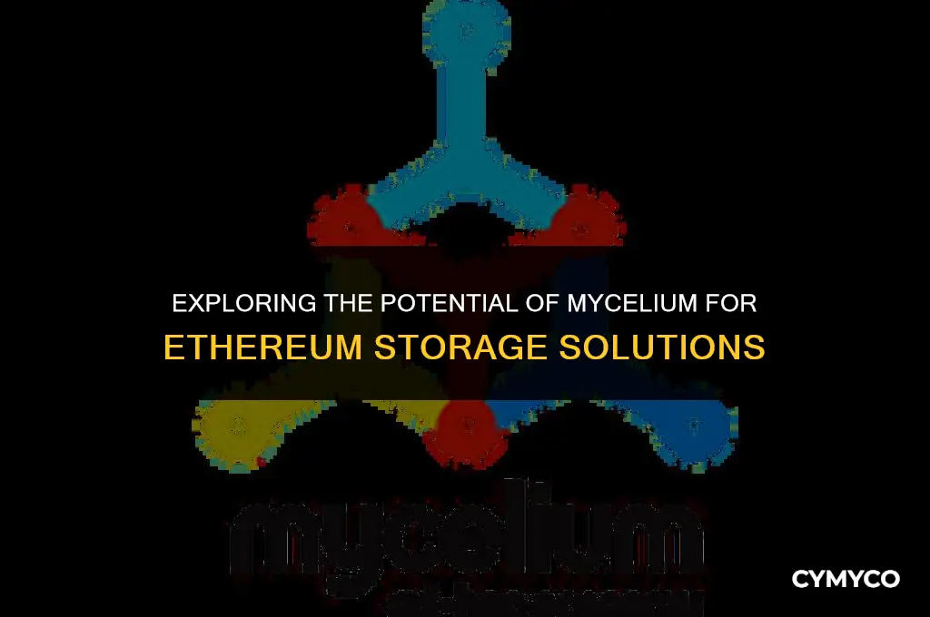 can you store eth on mycelium
