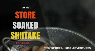 Unlocking Umami: The Art of Storing Soaked Shiitake Mushrooms